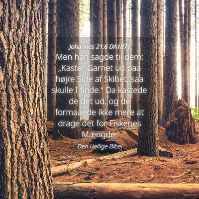Picture 04 - Johannes 21:6 DA1871 - Men han sagde til dem: „Kaster Garnet ud paa - Bible Verse Picture