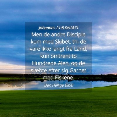 Picture 04 - Johannes 21:8 DA1871 - Men de andre Disciple kom med Skibet, thi de vare - Bible Verse Picture