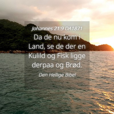 Picture 04 - Johannes 21:9 DA1871 - Da de nu kom i Land, se de der en Kulild og Fisk - Bible Verse Picture