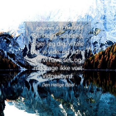 Picture 04 - Johannes 3:11 DA1871 - Sandelig, sandelig, siger jeg dig, vi tale det, - Bible Verse Picture