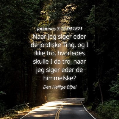 Picture 04 - Johannes 3:12 DA1871 - Naar jeg siger eder de jordiske Ting, og I ikke - Bible Verse Picture