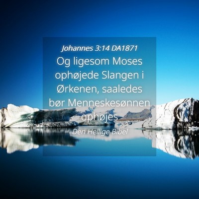 Picture 04 - Johannes 3:14 DA1871 - Og ligesom Moses ophøjede Slangen i Ørkenen, - Bible Verse Picture