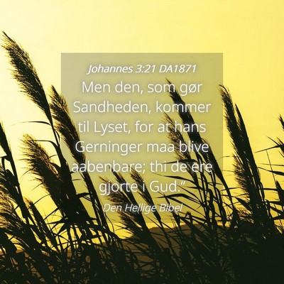 Picture 04 - Johannes 3:21 DA1871 - Men den, som gør Sandheden, kommer til Lyset, - Bible Verse Picture