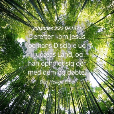 Picture 04 - Johannes 3:22 DA1871 - Derefter kom Jesus og hans Disciple ud i Judæas - Bible Verse Picture