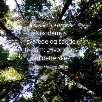 Picture 04 - Johannes 3:9 DA1871 - Nikodemus svarede og sagde til ham: „Hvorledes - Bible Verse Picture