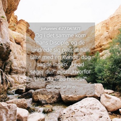 Picture 04 - Johannes 4:27 DA1871 - Og i det samme kom hans Disciple, og de undrede - Bible Verse Picture