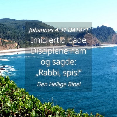 Picture 04 - Johannes 4:31 DA1871 - Imidlertid bade Disciplene ham og sagde: - Bible Verse Picture