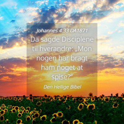 Picture 04 - Johannes 4:33 DA1871 - Da sagde Disciplene til hverandre: „Mon nogen - Bible Verse Picture