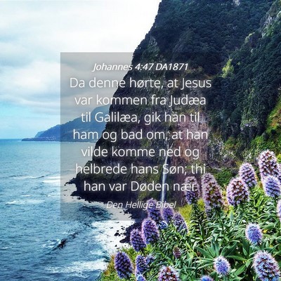 Picture 04 - Johannes 4:47 DA1871 - Da denne hørte, at Jesus var kommen fra Judæa - Bible Verse Picture
