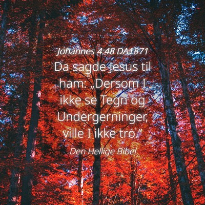 Picture 04 - Johannes 4:48 DA1871 - Da sagde Jesus til ham: „Dersom I ikke se Tegn - Bible Verse Picture