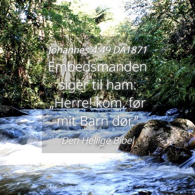 Picture 04 - Johannes 4:49 DA1871 - Embedsmanden siger til ham: „Herre! kom, før - Bible Verse Picture