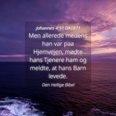 Picture 04 - Johannes 4:51 DA1871 - Men allerede medens han var paa Hjemvejen, mødte - Bible Verse Picture