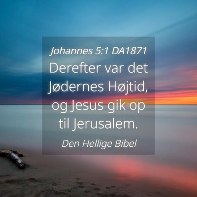 Picture 04 - Johannes 5:1 DA1871 - Derefter var det Jødernes Højtid, og Jesus gik - Bible Verse Picture