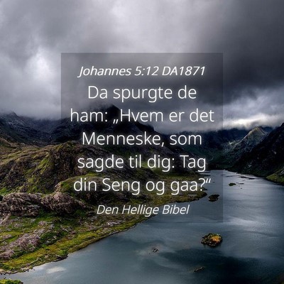 Picture 04 - Johannes 5:12 DA1871 - Da spurgte de ham: „Hvem er det Menneske, som - Bible Verse Picture