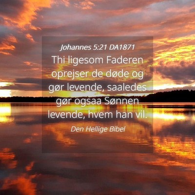 Picture 04 - Johannes 5:21 DA1871 - Thi ligesom Faderen oprejser de døde og gør - Bible Verse Picture