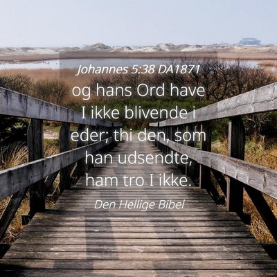 Picture 04 - Johannes 5:38 DA1871 - og hans Ord have I ikke blivende i eder; thi den, - Bible Verse Picture