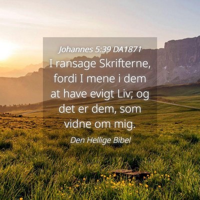 Picture 04 - Johannes 5:39 DA1871 - I ransage Skrifterne, fordi I mene i dem at have - Bible Verse Picture