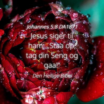 Picture 04 - Johannes 5:8 DA1871 - Jesus siger til ham: „Staa op, tag din Seng og - Bible Verse Picture