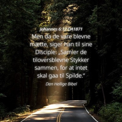 Picture 04 - Johannes 6:12 DA1871 - Men da de vare blevne mætte, siger han til sine - Bible Verse Picture