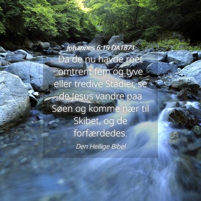 Picture 04 - Johannes 6:19 DA1871 - Da de nu havde roet omtrent fem og tyve eller - Bible Verse Picture