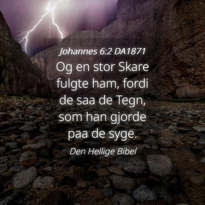 Picture 04 - Johannes 6:2 DA1871 - Og en stor Skare fulgte ham, fordi de saa de - Bible Verse Picture