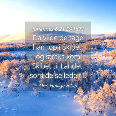 Picture 04 - Johannes 6:21 DA1871 - Da vilde de tage ham op i Skibet; og straks kom - Bible Verse Picture