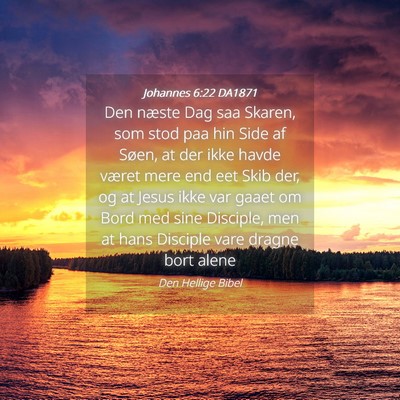 Picture 04 - Johannes 6:22 DA1871 - Den næste Dag saa Skaren, som stod paa hin Side - Bible Verse Picture