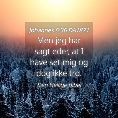 Picture 04 - Johannes 6:36 DA1871 - Men jeg har sagt eder, at I have set mig og dog - Bible Verse Picture