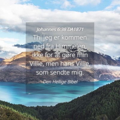 Picture 04 - Johannes 6:38 DA1871 - Thi jeg er kommen ned fra Himmelen, ikke for at - Bible Verse Picture