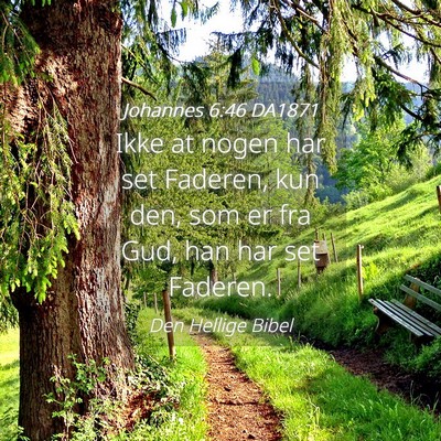 Picture 04 - Johannes 6:46 DA1871 - Ikke at nogen har set Faderen, kun den, som er - Bible Verse Picture