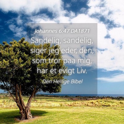 Picture 04 - Johannes 6:47 DA1871 - Sandelig, sandelig, siger jeg eder, den, som tror - Bible Verse Picture
