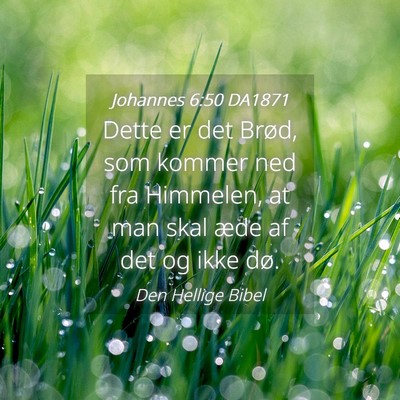 Picture 04 - Johannes 6:50 DA1871 - Dette er det Brød, som kommer ned fra Himmelen, - Bible Verse Picture