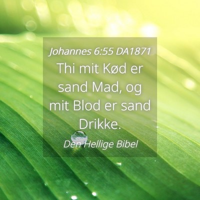 Picture 04 - Johannes 6:55 DA1871 - Thi mit Kød er sand Mad, og mit Blod er sand - Bible Verse Picture