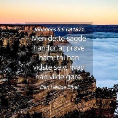 Picture 04 - Johannes 6:6 DA1871 - Men dette sagde han for at prøve ham; thi han - Bible Verse Picture