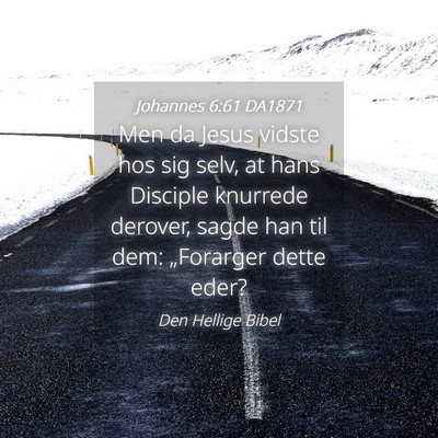 Picture 04 - Johannes 6:61 DA1871 - Men da Jesus vidste hos sig selv, at hans - Bible Verse Picture