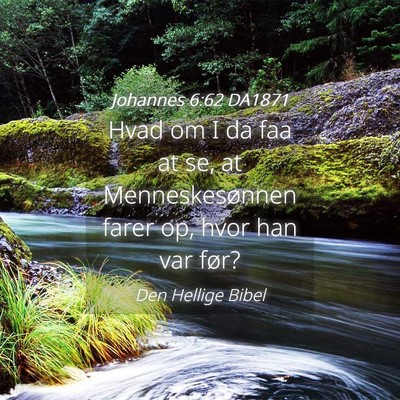 Picture 04 - Johannes 6:62 DA1871 - Hvad om I da faa at se, at Menneskesønnen farer - Bible Verse Picture