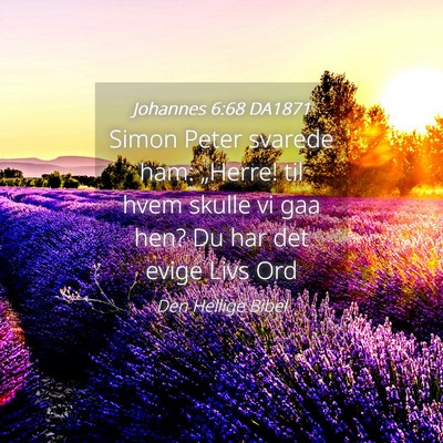 Picture 04 - Johannes 6:68 DA1871 - Simon Peter svarede ham: „Herre! til hvem - Bible Verse Picture