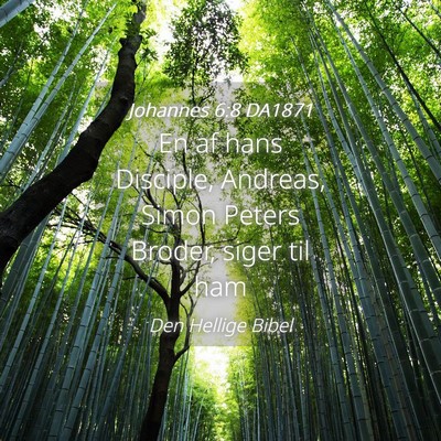 Picture 04 - Johannes 6:8 DA1871 - En af hans Disciple, Andreas, Simon Peters - Bible Verse Picture