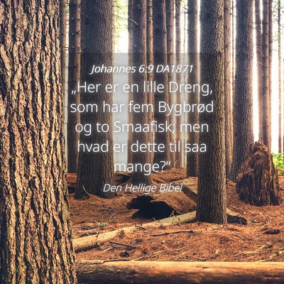 Picture 04 - Johannes 6:9 DA1871 - „Her er en lille Dreng, som har fem Bygbrød og - Bible Verse Picture