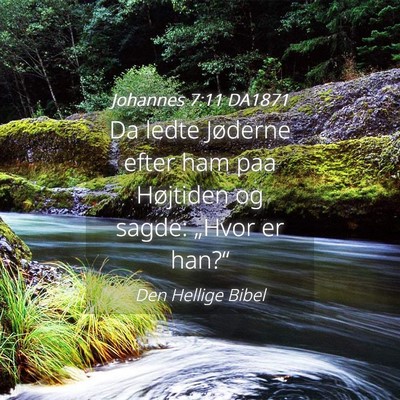 Picture 04 - Johannes 7:11 DA1871 - Da ledte Jøderne efter ham paa Højtiden og - Bible Verse Picture