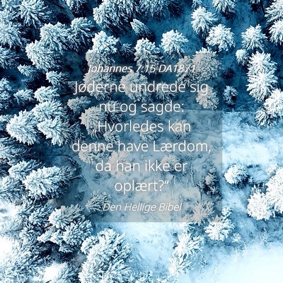 Picture 04 - Johannes 7:15 DA1871 - Jøderne undrede sig nu og sagde: „Hvorledes - Bible Verse Picture