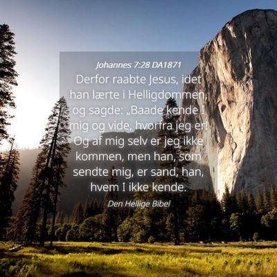 Picture 04 - Johannes 7:28 DA1871 - Derfor raabte Jesus, idet han lærte i - Bible Verse Picture
