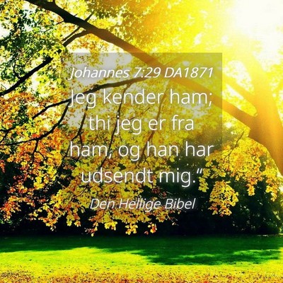Picture 04 - Johannes 7:29 DA1871 - Jeg kender ham; thi jeg er fra ham, og han har - Bible Verse Picture