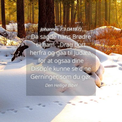 Picture 04 - Johannes 7:3 DA1871 - Da sagde hans Brødre til ham: „Drag bort - Bible Verse Picture