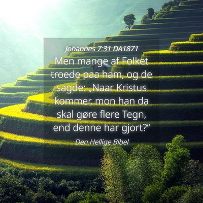 Picture 04 - Johannes 7:31 DA1871 - Men mange af Folket troede paa ham, og de sagde: - Bible Verse Picture