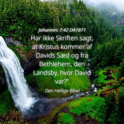 Picture 04 - Johannes 7:42 DA1871 - Har ikke Skriften sagt, at Kristus kommer af - Bible Verse Picture