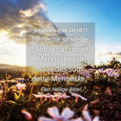 Picture 04 - Johannes 7:46 DA1871 - Tjenerne svarede: „Aldrig har noget Menneske - Bible Verse Picture