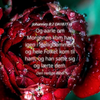 Picture 04 - Johannes 8:2 DA1871 - Og aarle om Morgenen kom han igen i Helligdommen, - Bible Verse Picture