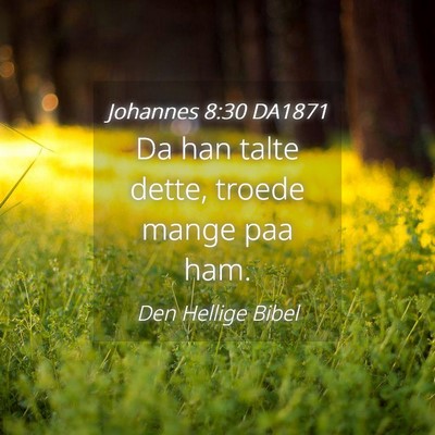Picture 04 - Johannes 8:30 DA1871 - Da han talte dette, troede mange paa - Bible Verse Picture
