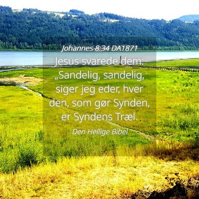 Picture 04 - Johannes 8:34 DA1871 - Jesus svarede dem: „Sandelig, sandelig, siger - Bible Verse Picture